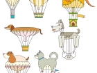気球犬.jpg