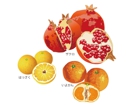 料理62.jpg